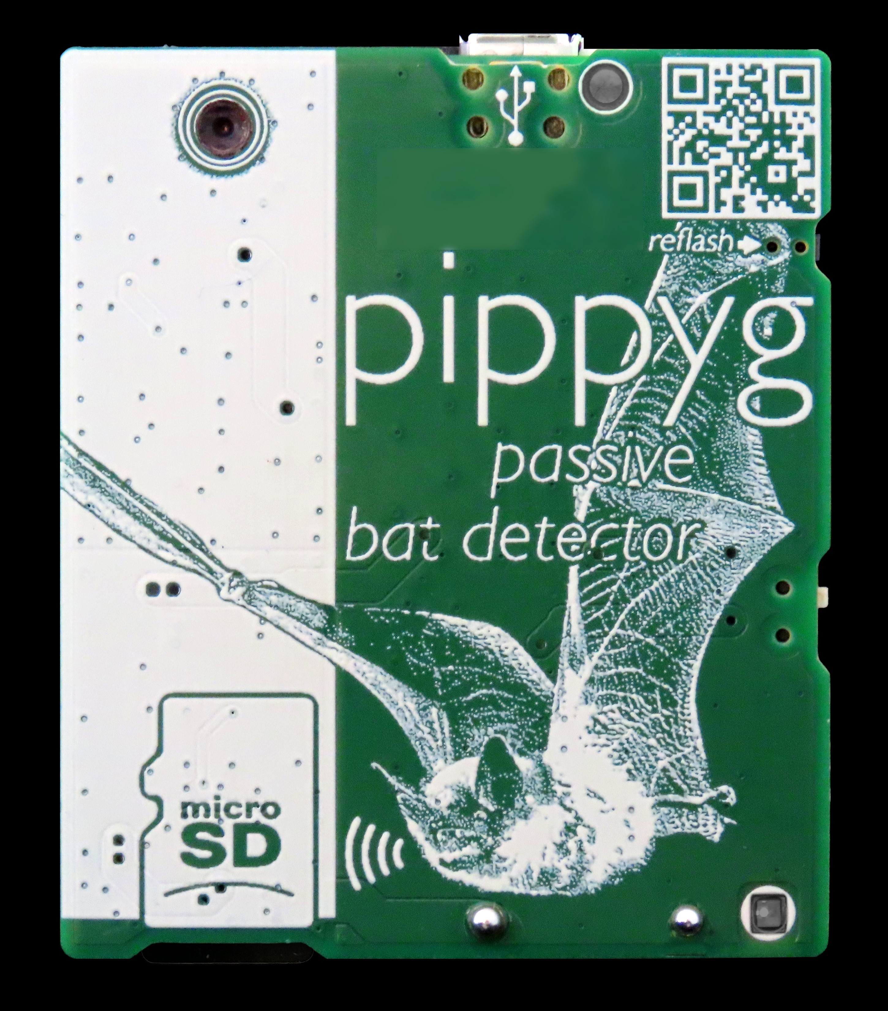 Apodemus Pippyg