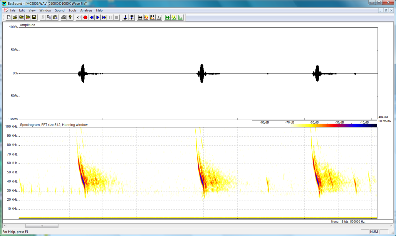 Bat detector Software